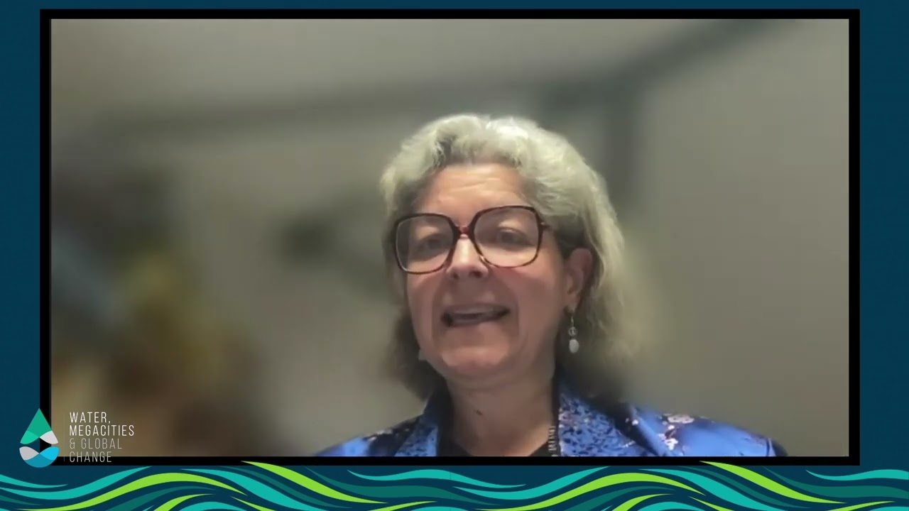 Water governance modalities in megacities, session 1/2, EauMega 2022