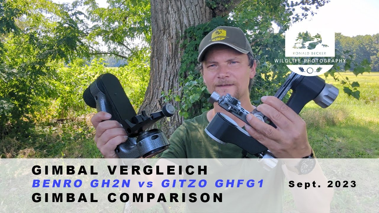 Gimbal Vergleich BENRO GH2N vs. GITZO GHFG1