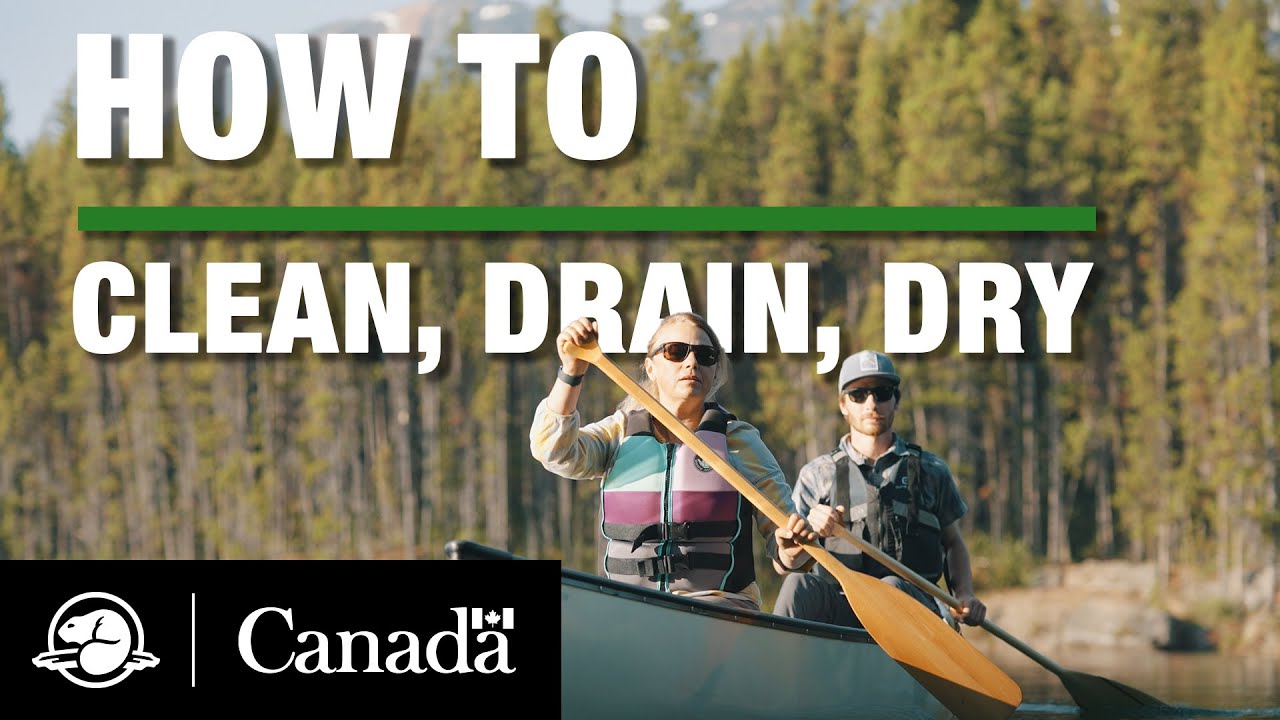 Clean, Drain and Dry | Parks Canada