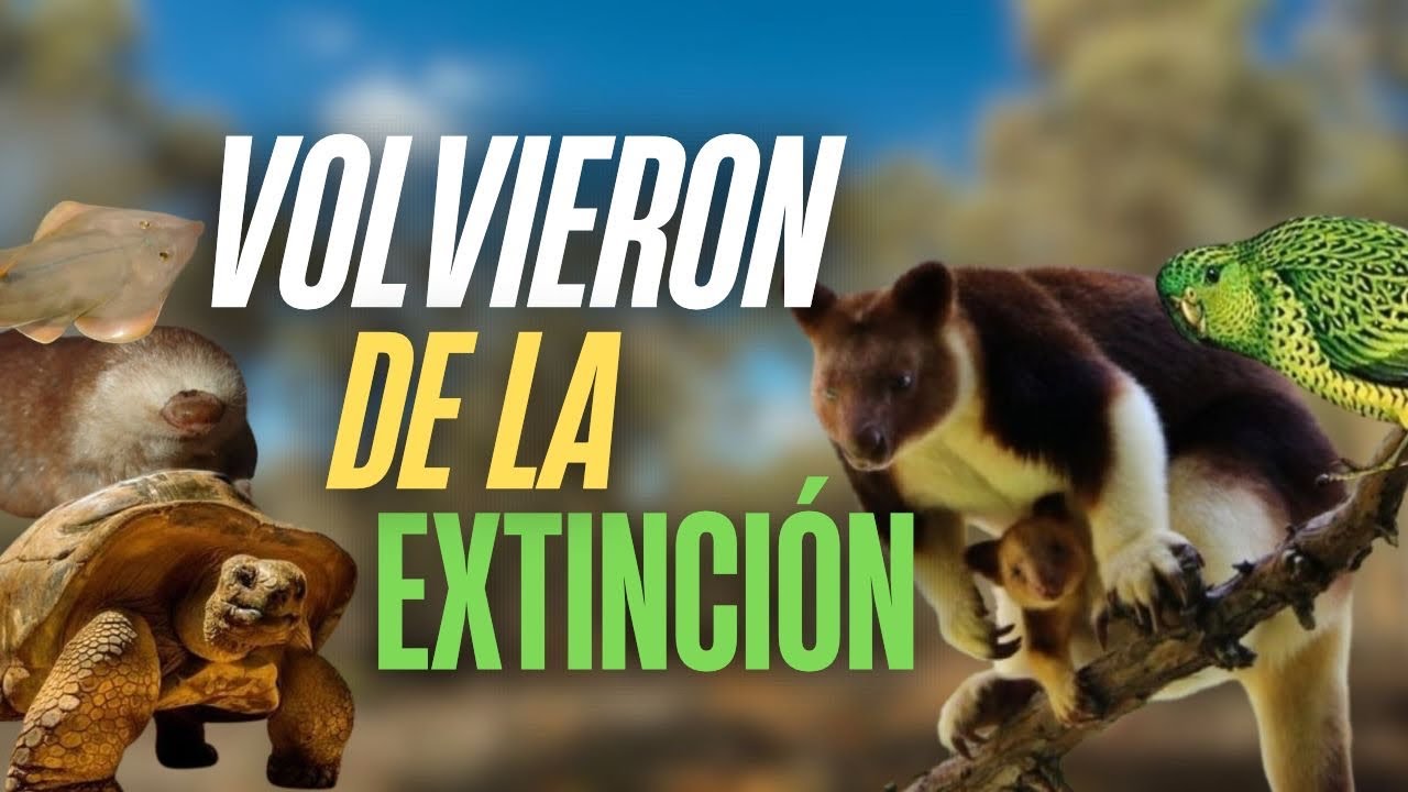 Animales que volvieron de la extinci&oacute;n