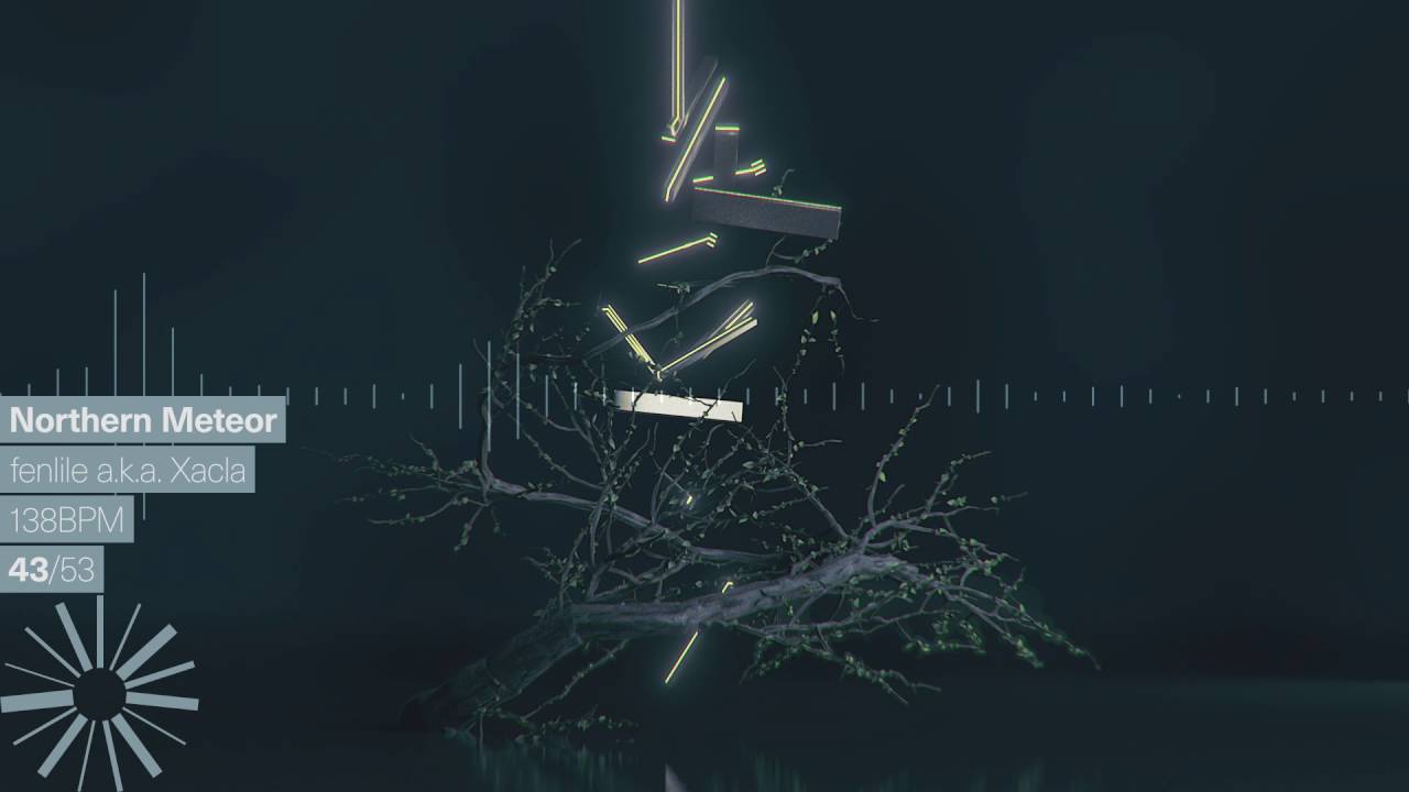 Northern Meteor / fenlile a.k.a. Xacla / 43/53 / RADIAL.FINALE