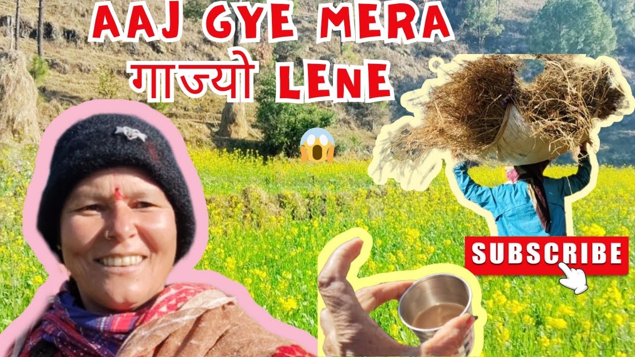 आज मेरा गाज्यो ले आने की बारी ❤️😱#pahadi #modernkumaun #phadilifestyle 
