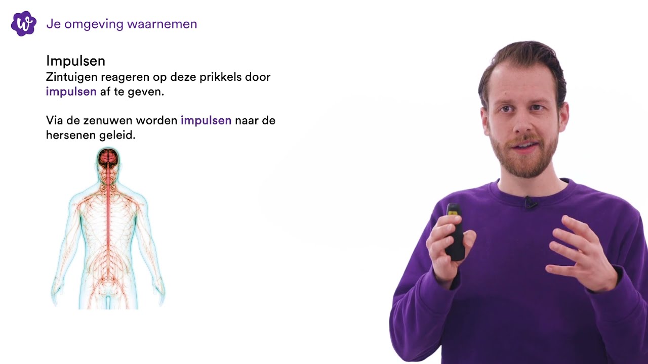 Je omgeving waarnemen (meest geoefend op WRTS)