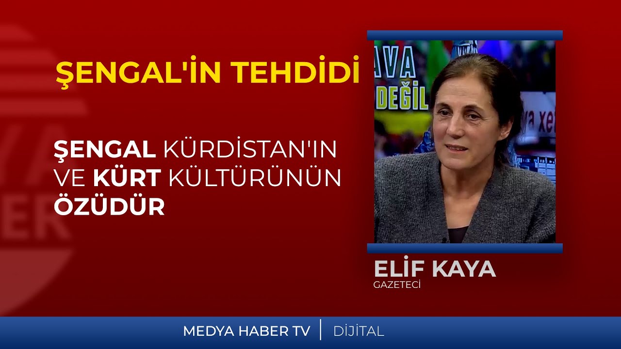 Elif Kaya: Şengal Kürdistan'ın ve Kürt kültürünün özüdür.
