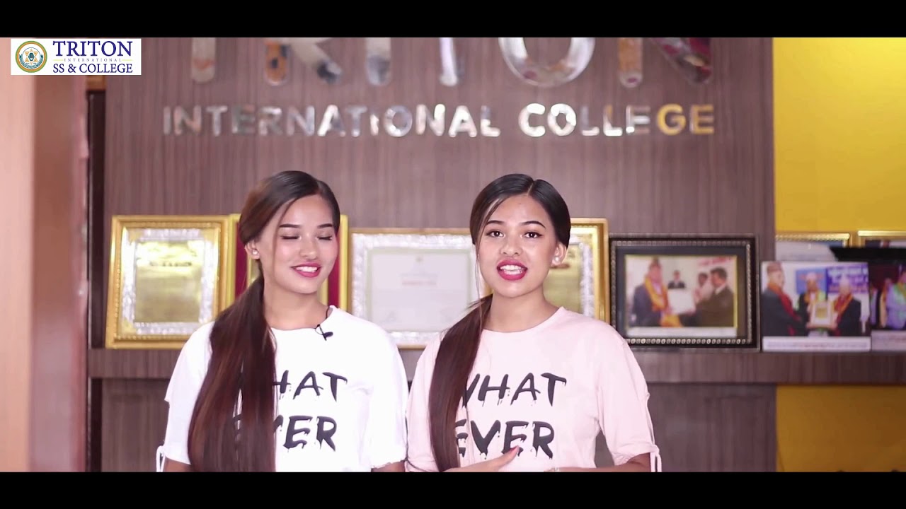 Triton International College