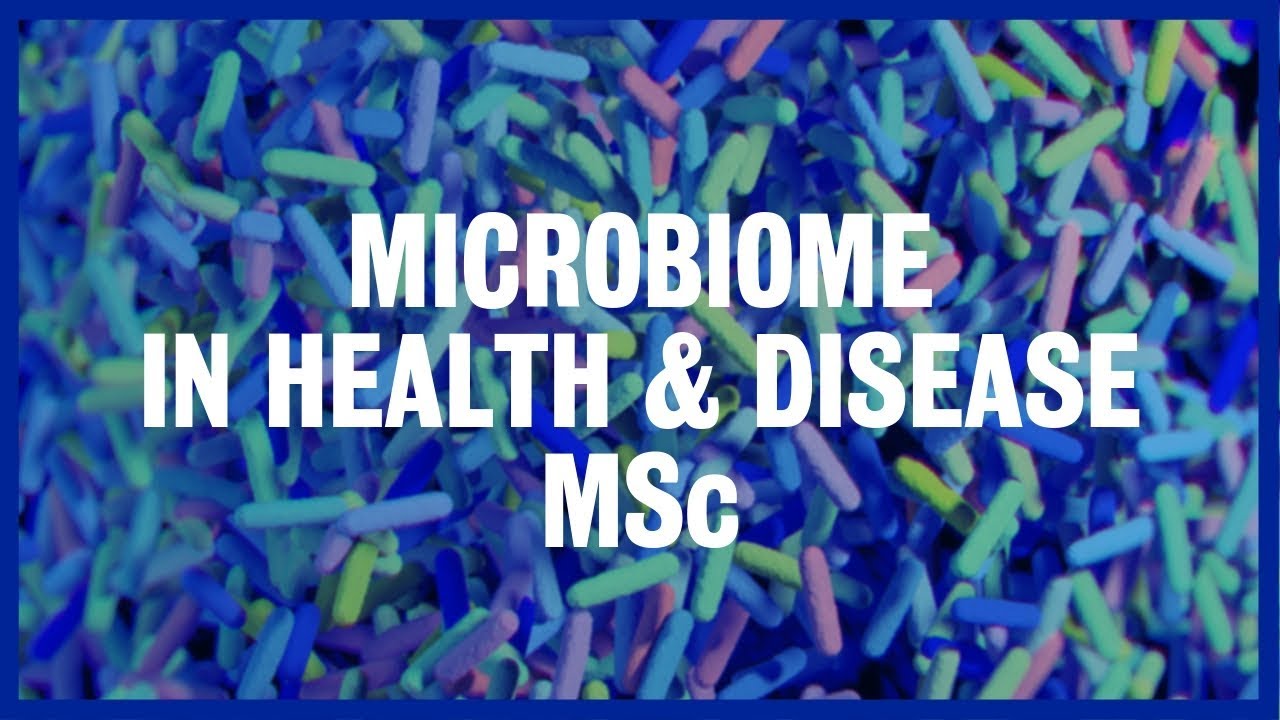 Microbiome in Health & Disease MSc | King's College London