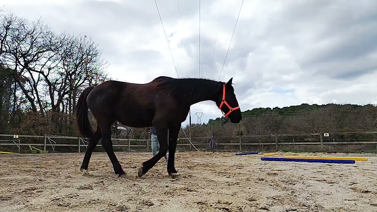 1ère 'longe' 😝