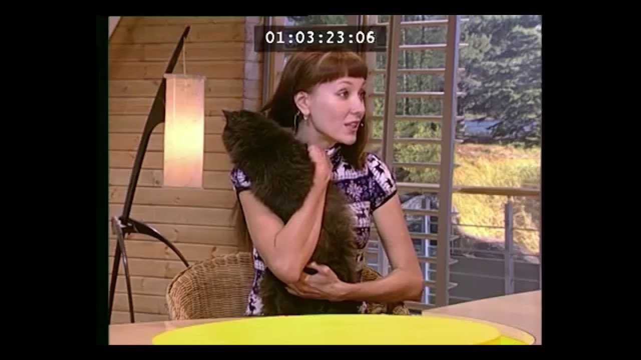 Программа 