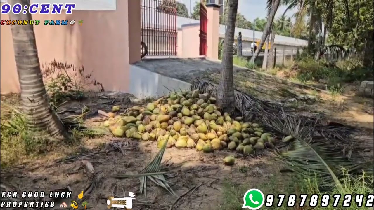 🆔 115 : ON ROAD 90 CENT COCONUT 🥥🌴 FARM PROPERTY FOR SALE IN NEAR ECR KADAPAKKAM 
