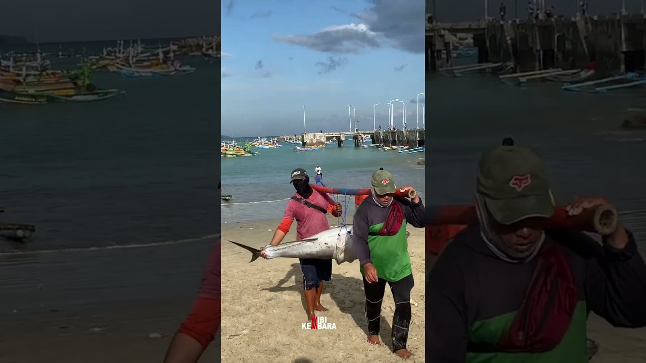 Nelayan Tradisional Menangkap IKAN TUNA 70 kg di JIMBARAN BALI #shorts #wibikembara #pesonabali