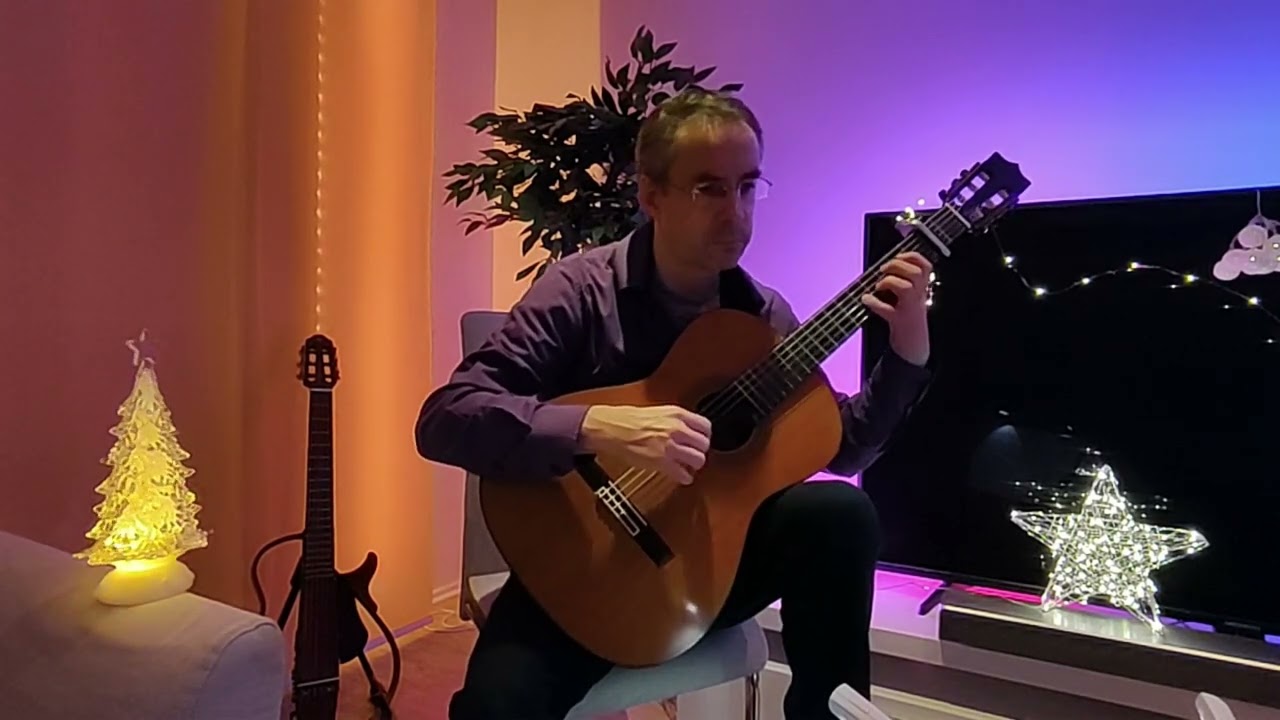 Danse des fées By Thierry Tisserand (folk song) played by Till Veeh