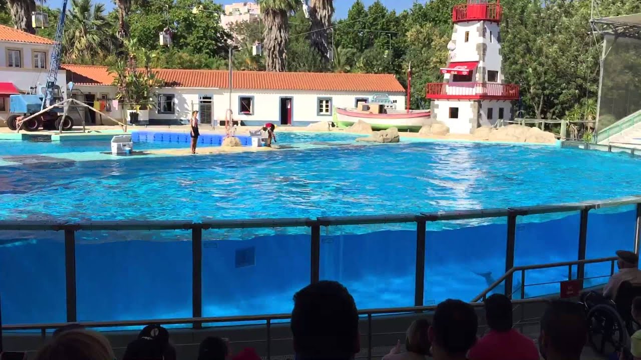 Zôo de Lisboa - Baía dos Golfinhos e dos Leões Marinhos