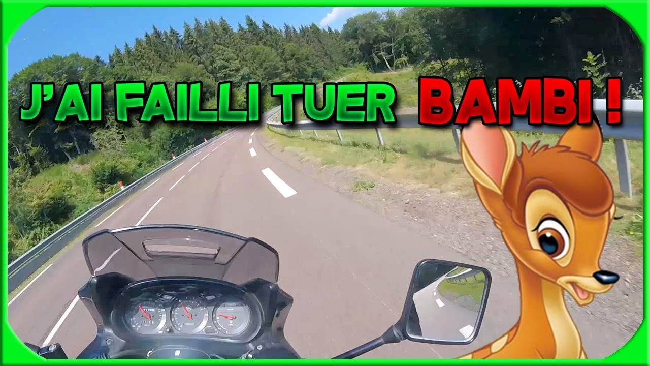 YAMAHA 900 Diversion ► Les plus belles routes du Morvan en moto ?  Mini Road Trip