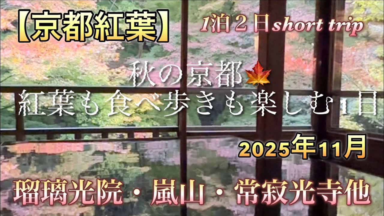 【京都紅葉】秋の京都🍁紅葉も食べ歩きも楽しむ1日　1泊２日short trip 第一弾　2025年11月　瑠璃光院・嵐山・常寂光寺他[Kyoto Autumn Foliage] 