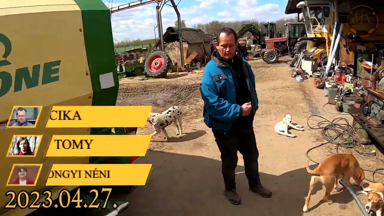 2023 Fasor ritkítása/felmetszése