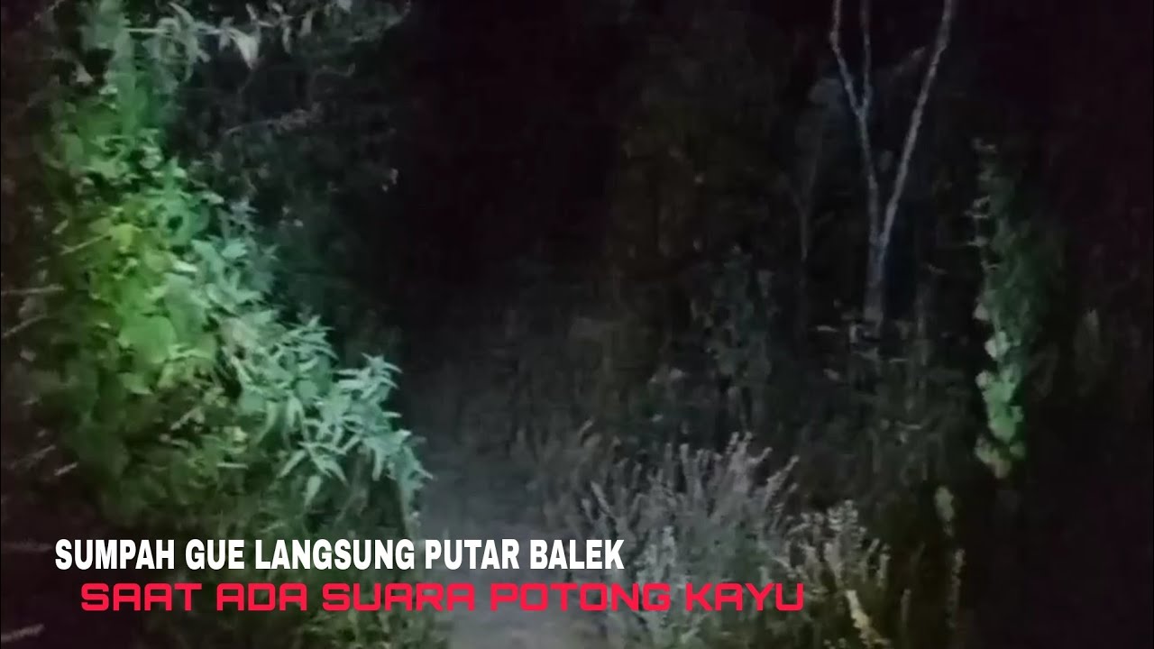 SERAM DAN GANASNYA HUTAN INI. DAN SERING MERESAHKAN WARGA SAAT LEWAT// SUKRON CHANNEL