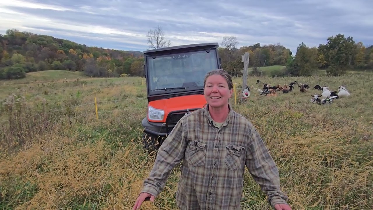 Georgia turnd out to be a great livestock guardian