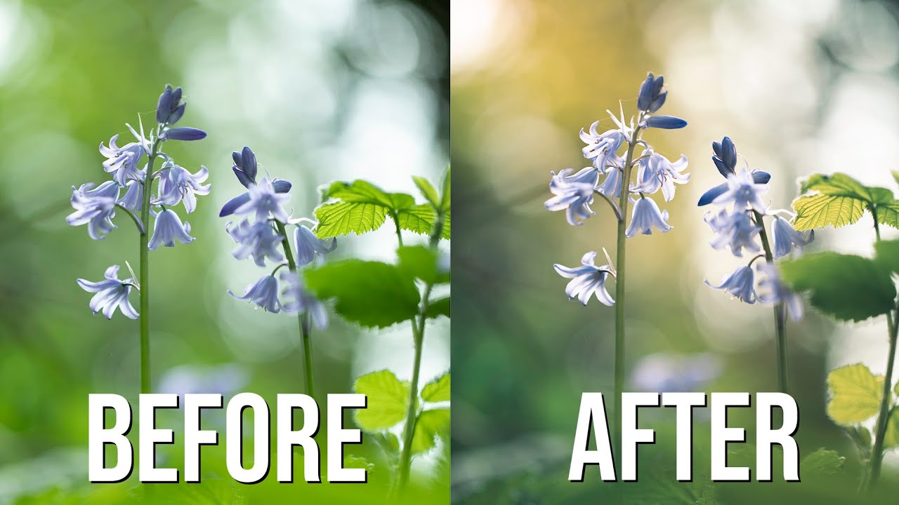 Macro tutorial: My easy secrets to beautiful Lightroom edits