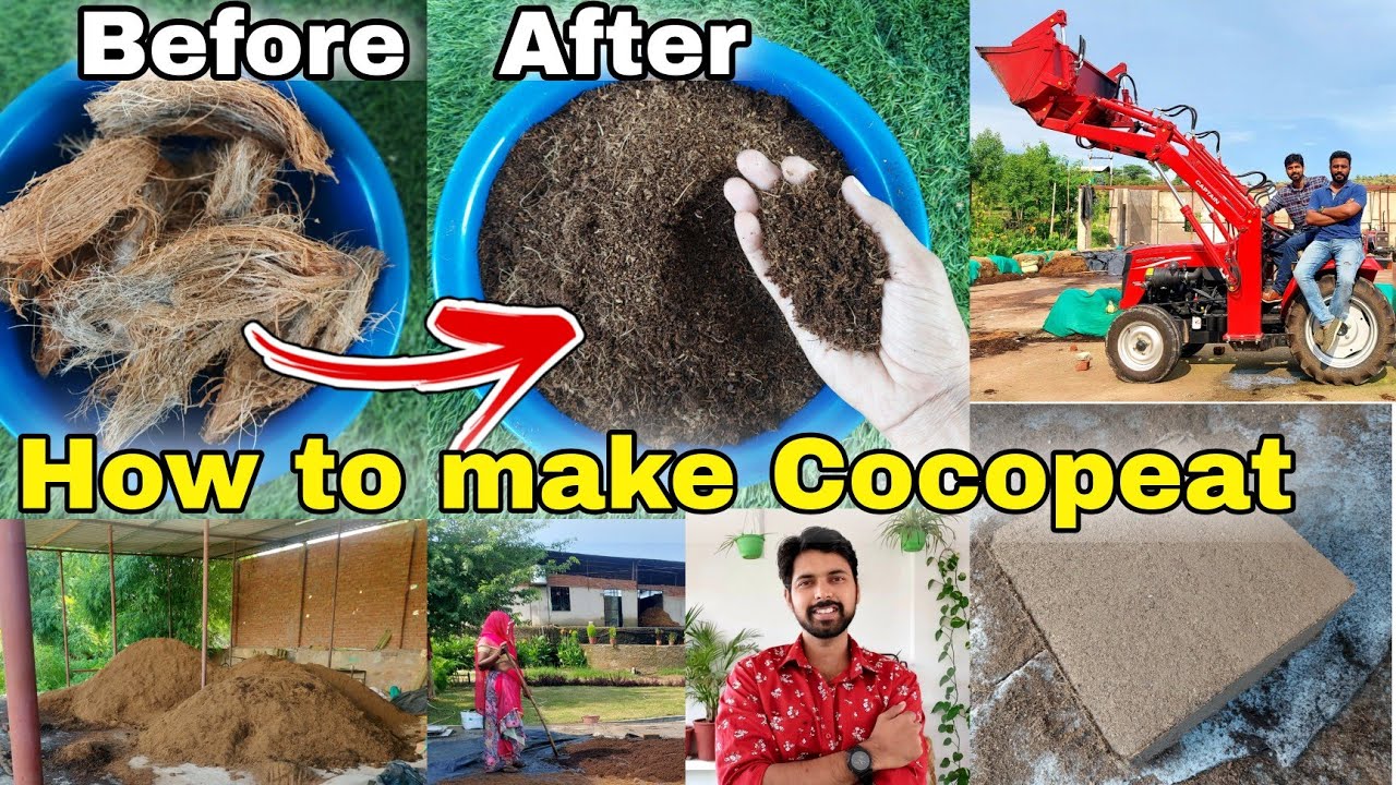 How to make cocopeat at home, Cocopeat factory visit (detail info.)