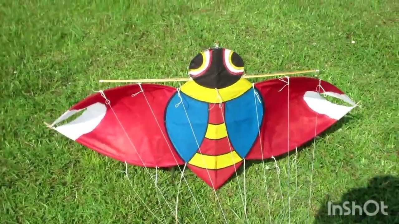 神奈川県 伊勢原の｢せみ凧｣ いろいろ