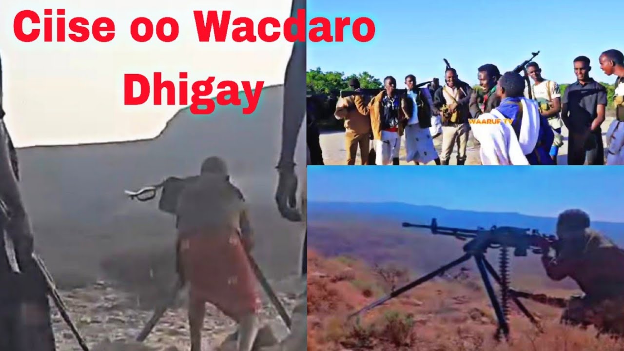  Ciise oo manta Jabxoogan gaarsiiyay. Samaroon.   Dhashiikooyina Lasoo Baxay. 