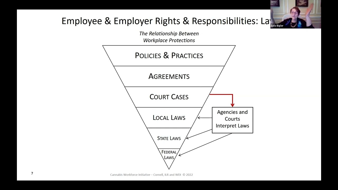 History of Cannabis Laws and Employee/Employer Rights and Responsibilities