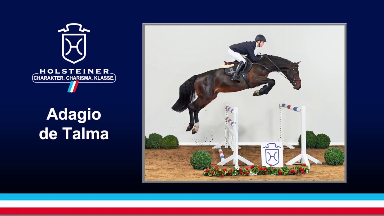 Adagio de Talma v. Lamm de Fetan - Contender | 2018