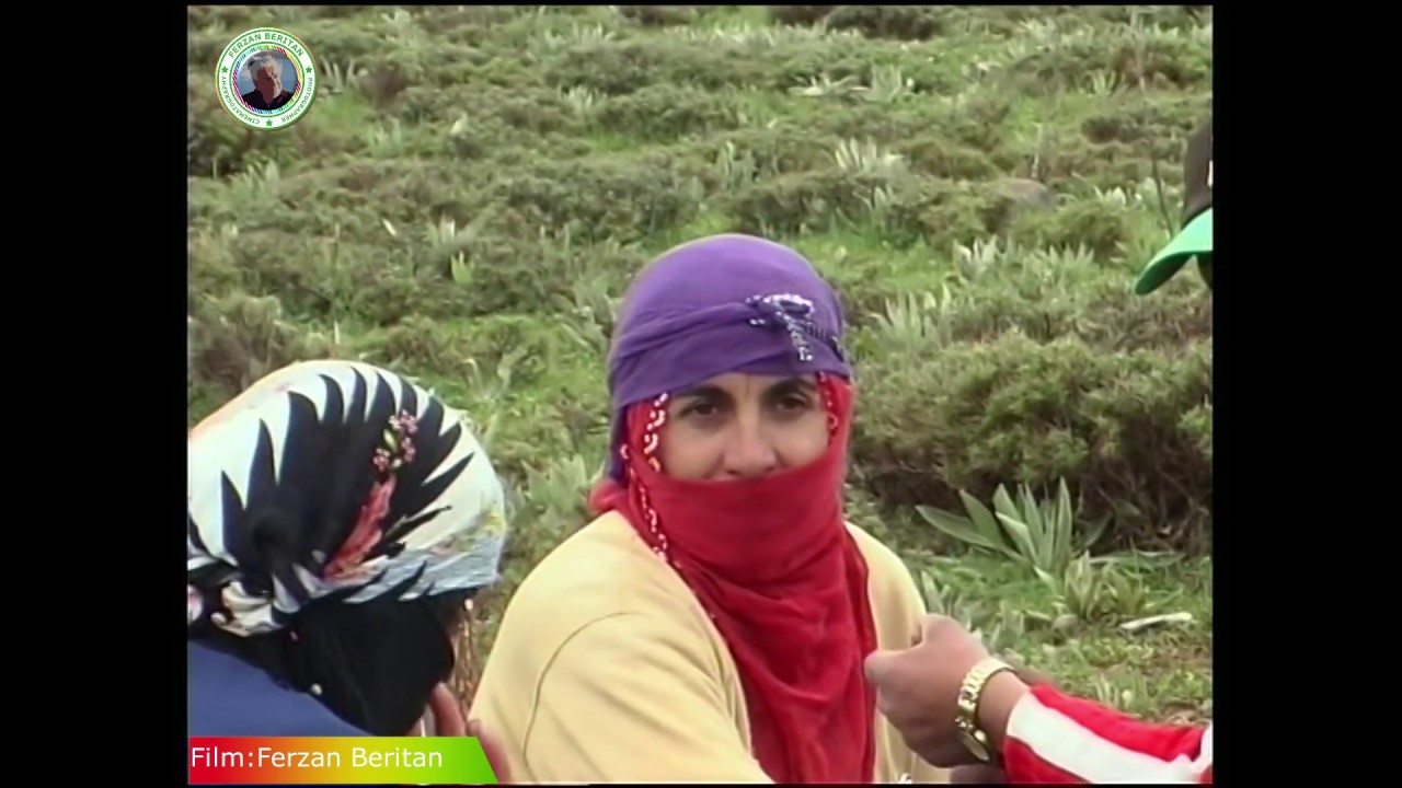 #Eşira #Bertiyan #Göçebeler #Beritanasireti #BeritanTribe