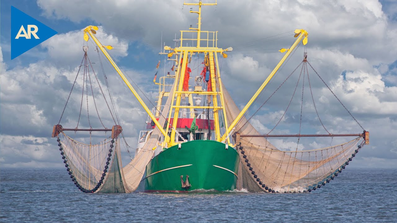 Pesca de arrastre: ¿por qué es dañina?