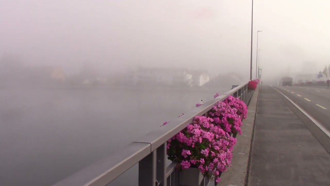 Sonne -Nebel-Sonne