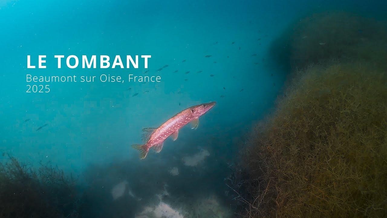 Plongée à BEAUMONT SUR OISE - France, 2025