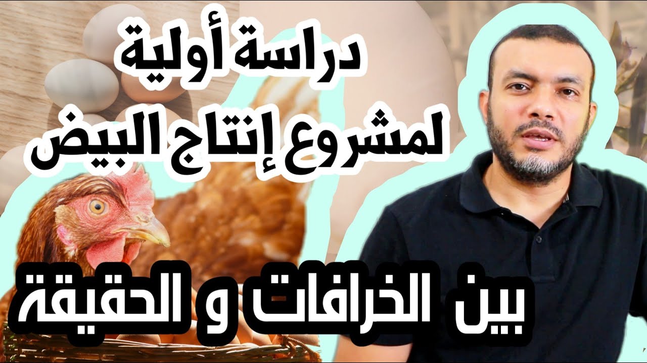 استمع لهذه المعلومات قبل التفكير في مشروع إنتاج البيض