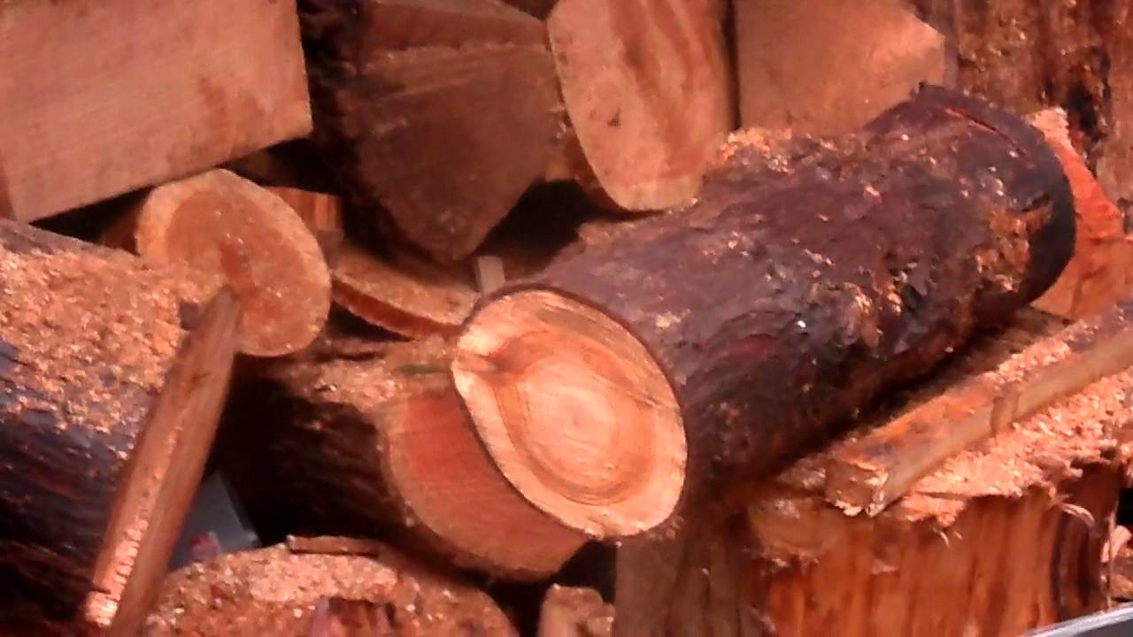 Husqvarna 257 chainsaw