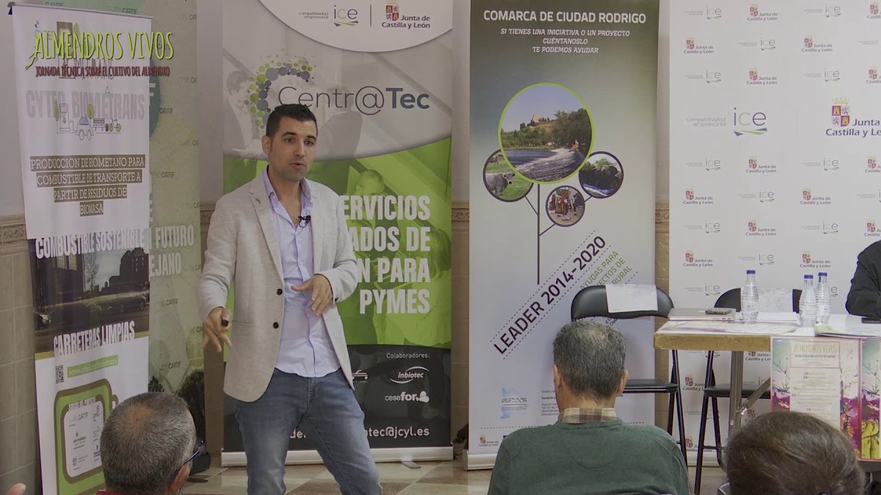 Manejo de suelo y fertilización eficiente del almendro 2019