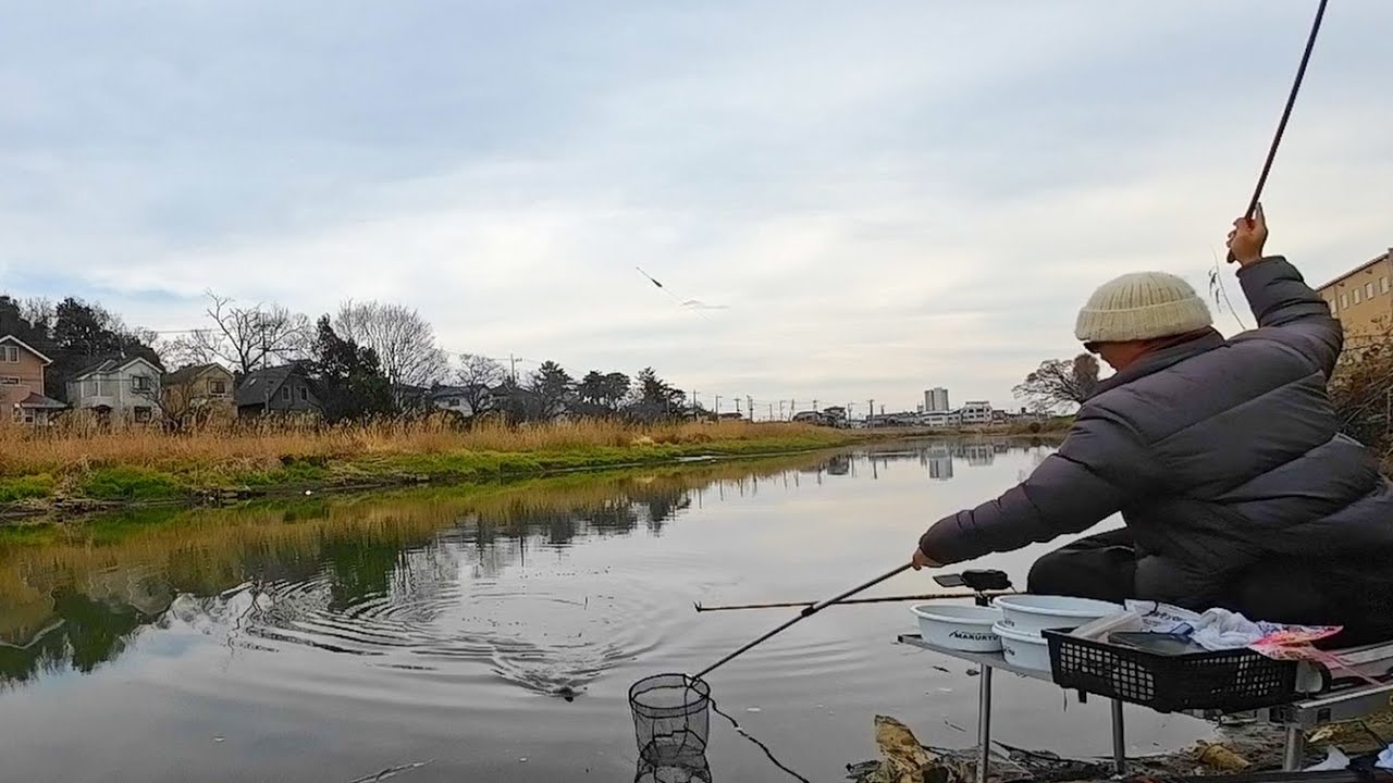 1月上旬 埼玉県 大落古利根川 長竿をスマートに振れるようになりたい