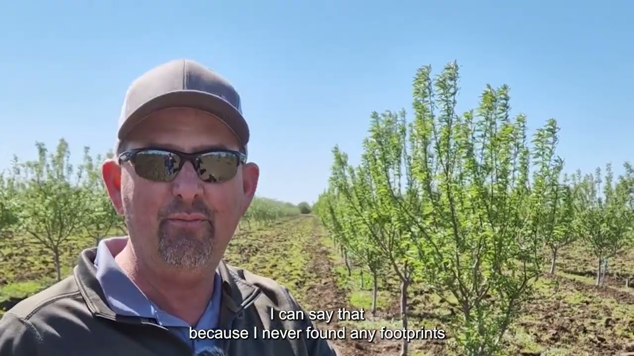 Penergetic Wildlife Deterrent Testimonial - Raymond Antonowich,  Rancho Esquon (Durham, CA)