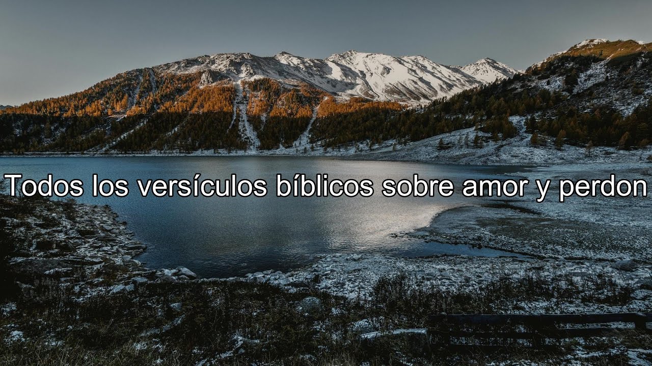 Qué dice la Biblia acerca de amor y perdon - Todos los versículos bíblicos sobre amor y perdon