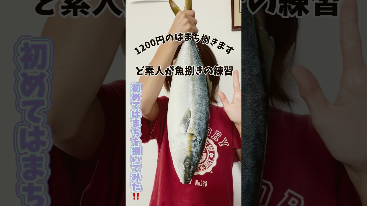 【魚捌き①】 ど素人が初めてはまち捌いてみた‼️魚捌き練習はまち編 #魚 #魚捌き #はまち #料理