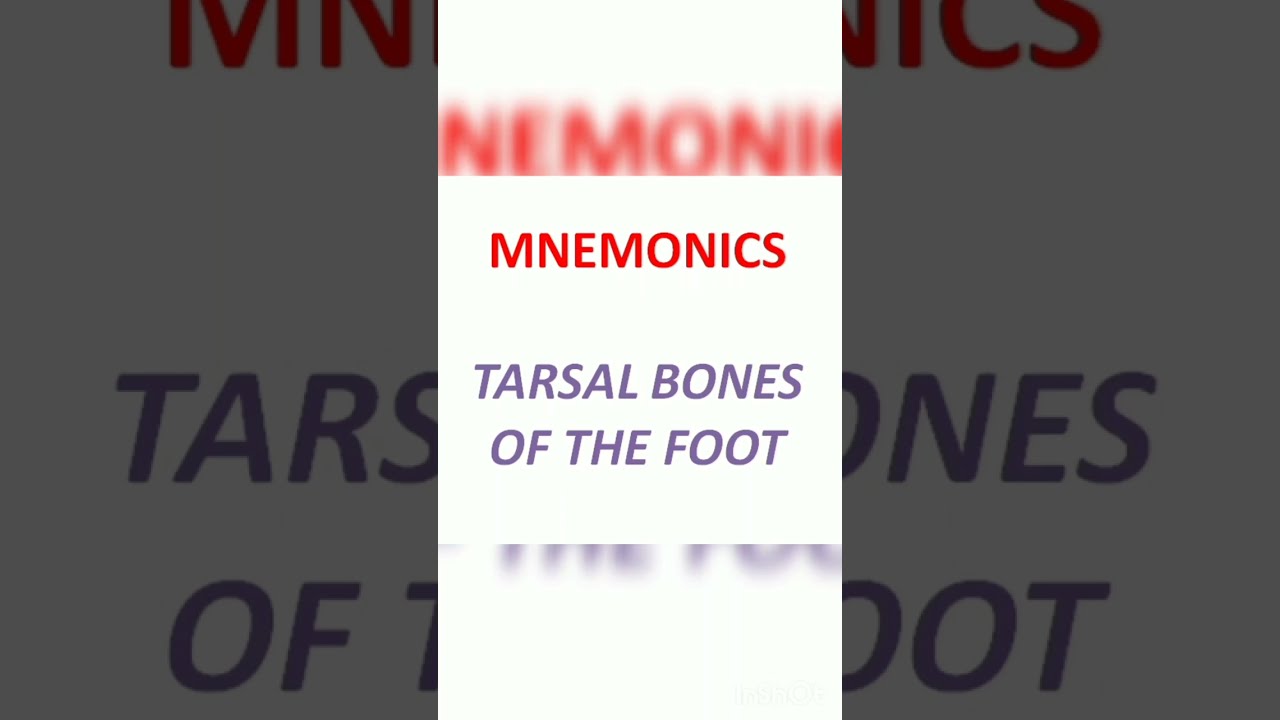 MNEMONIC- TARSAL BONES- Easy way to Remember