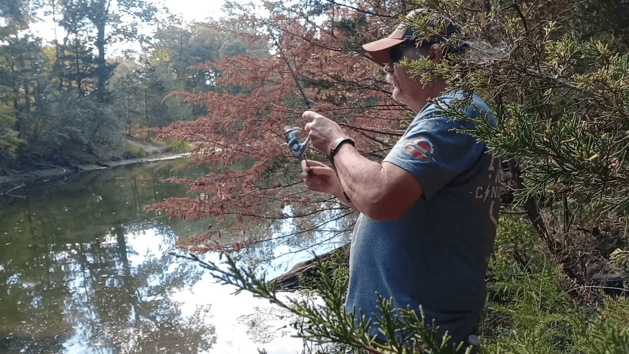 Gorgeous Spot to Spend an Afternoon