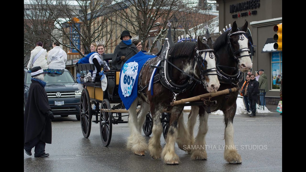 Live replay: Winter Carnival parade