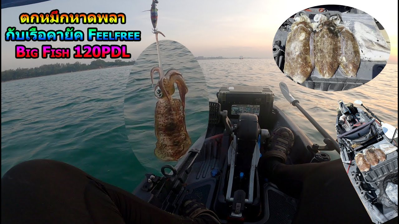 ตกหมึกหาดพลา กับเรือคายัค Feelfree Big fish 120PDL