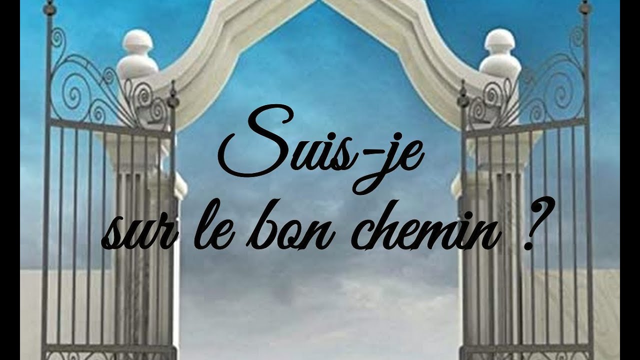 🌺Suis-je sur le bon chemin ?🌺 Question Intemporelle #28