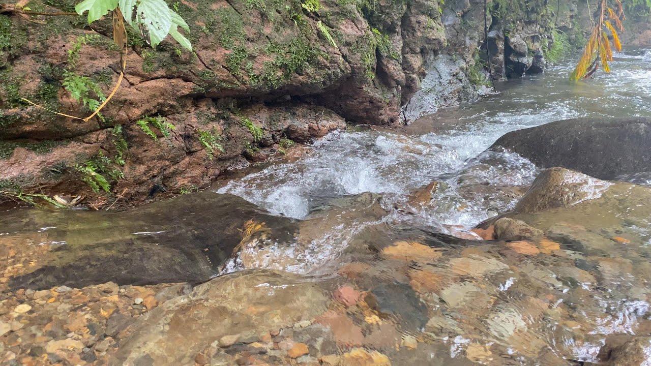 Soothing river water sounds | gentle forest | calming natural ambience