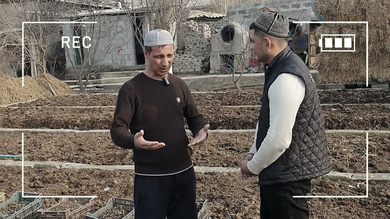 Biogumus bozori avjida