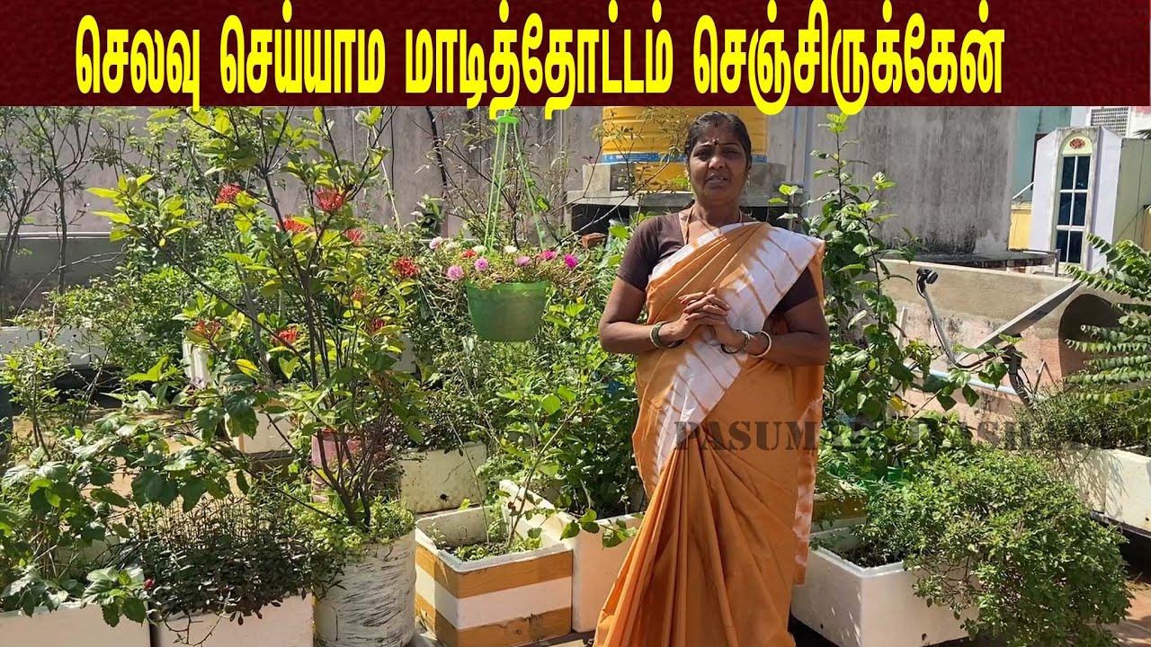 செலவு செய்யாம மாடித்தோட்டம் அமைச்சிருக்கேன் /It is a Dharmakol terraced garden
