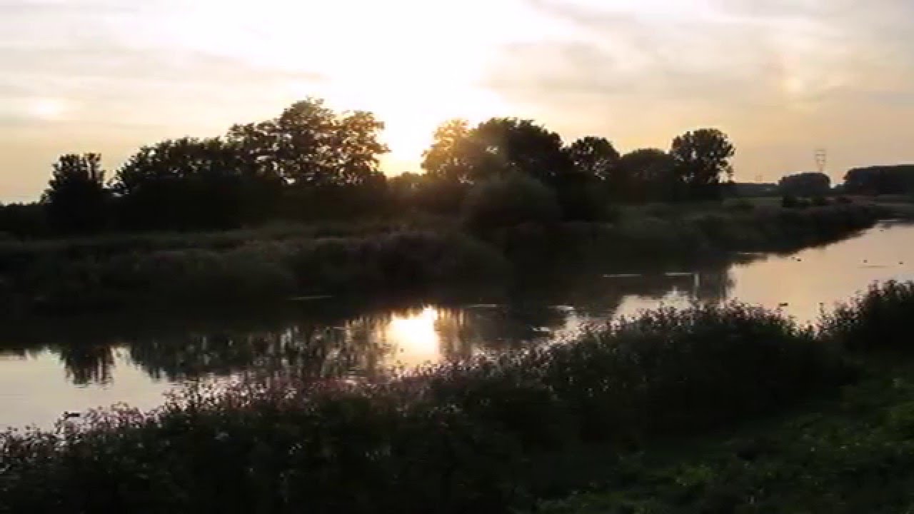 Summer-evening Jam