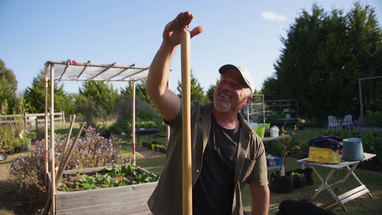 When To Stake Your Tomatoes