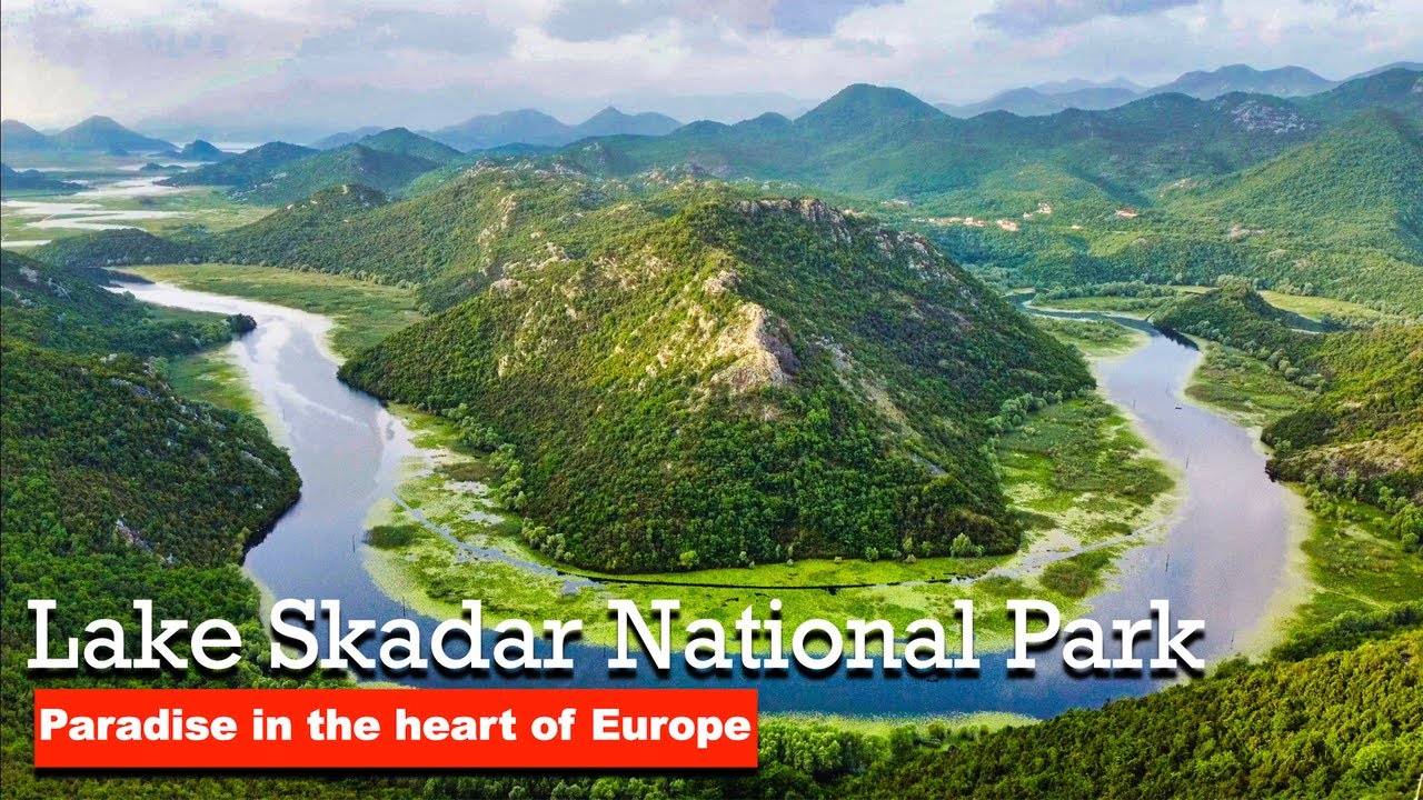 Lake Skadar || Skadarsko Jezero || Montenegro 2024