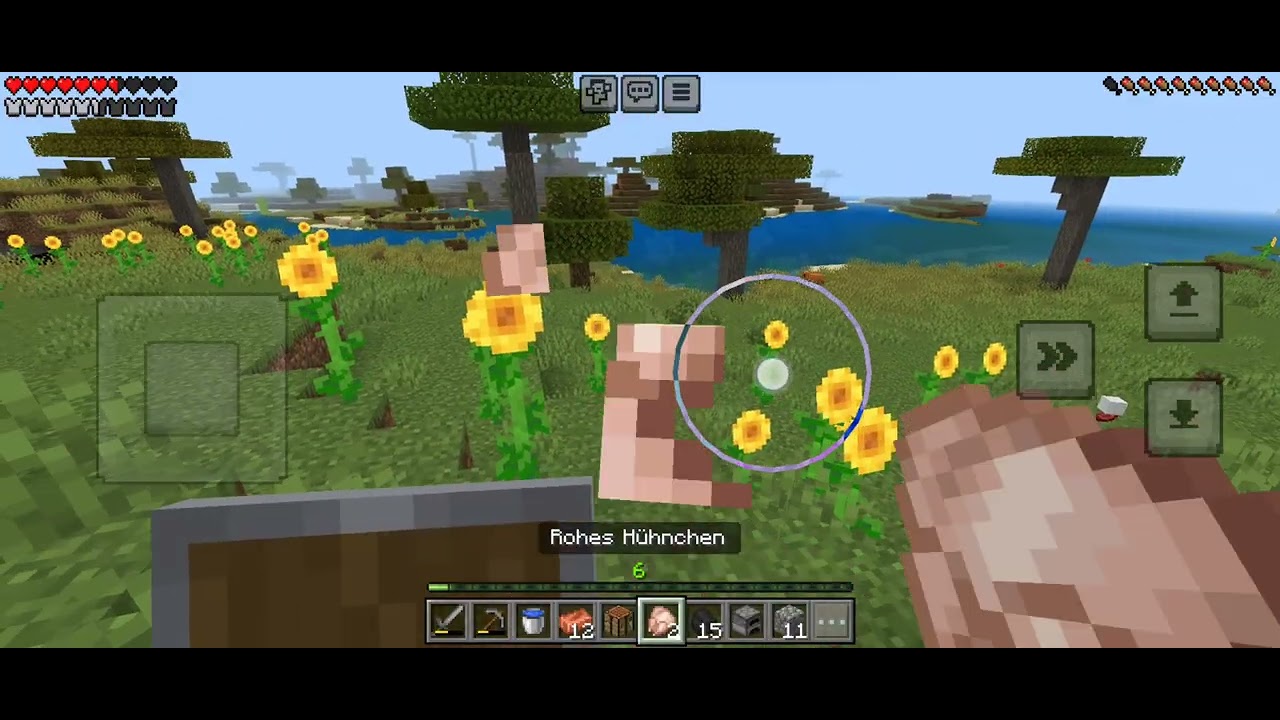 Wir fliegen aus minicraft Risiko 3 nur auf handy raus